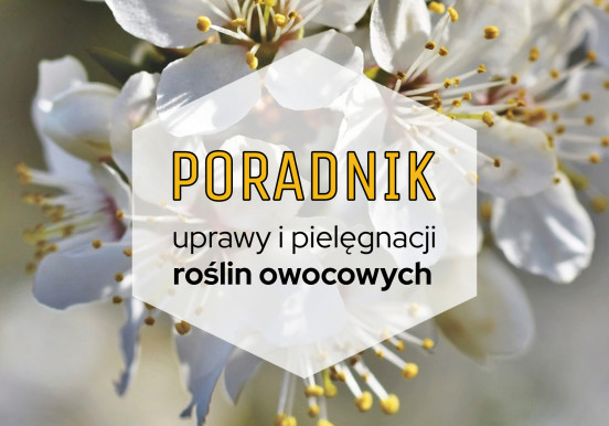 Rośliny owocowe do ogrodu: poradnik uprawy i...