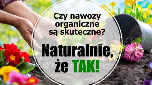 Czy nawozy organiczne są skuteczne? Naturalnie, że TAK!