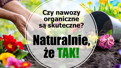 Czy nawozy organiczne są skuteczne? Naturalnie, że TAK!