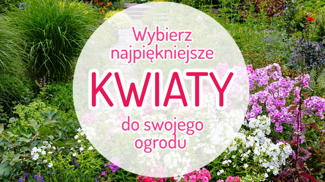 Najpiękniejsze kwiaty do ogrodu fot. typo-graphics Depositphotos (oryginał)