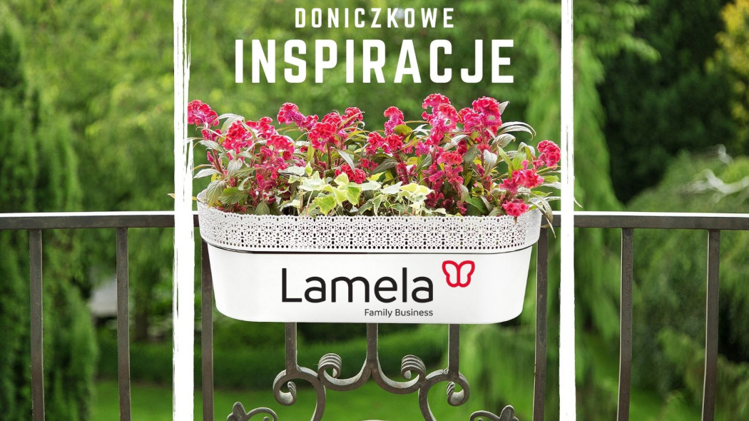 Doniczkowe inspiracje Lamela