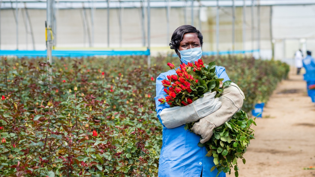 Skąd pochodzą kwiaty na Dzień Kobiet fot. Fairtrade Foundation