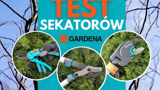 Narzędzia do cięcia roślin | Testujemy 3 sekatory ogrodowe