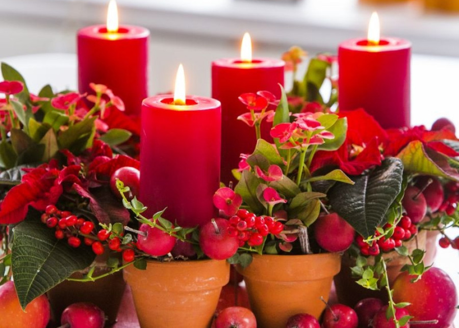 50 pomysłów na świąteczne ozdoby z roślin doniczkowych