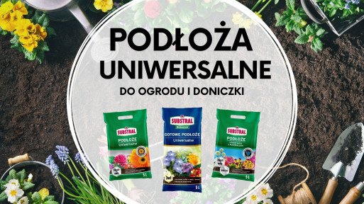 Jakie podłoże kupić do ogrodu i doniczki?