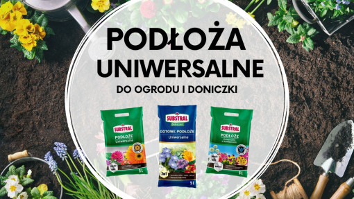 Jakie podłoże kupić do ogrodu i doniczki?