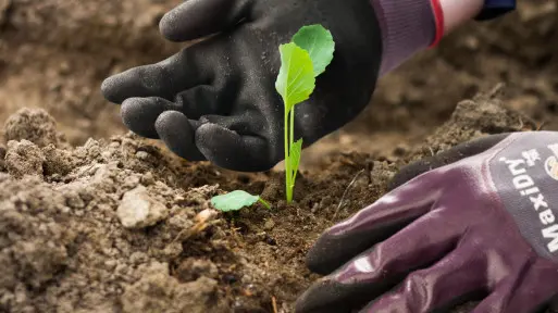 Czyste i zadbane dłonie w sezonie – czy to w ogóle możliwe?