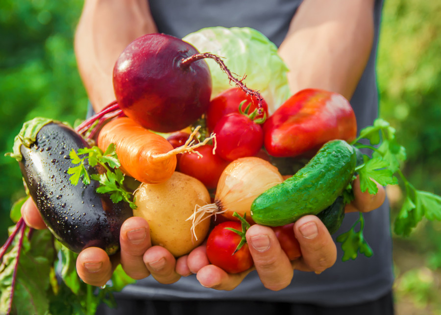 zdrowe warzywa - od siewki do plony fot. yana-komisarenko - Depositphotos