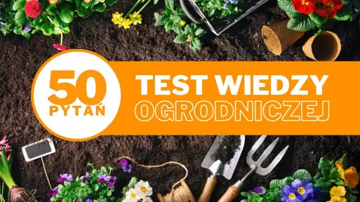Quiz – test wiedzy ogrodniczej