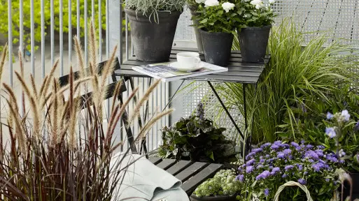 Jakie rośliny do doniczek na balkon?