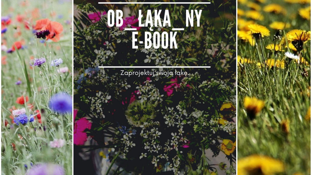 Ob_łąka_ny raj dla pszczół e-book