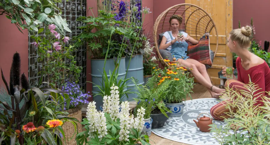 Te byliny możesz uprawiać w doniczkach na balkonie i tarasie