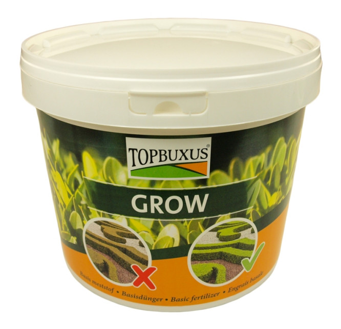 Topbuxus Grow