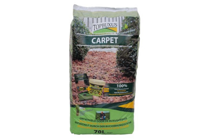 Topbuxus Carpet