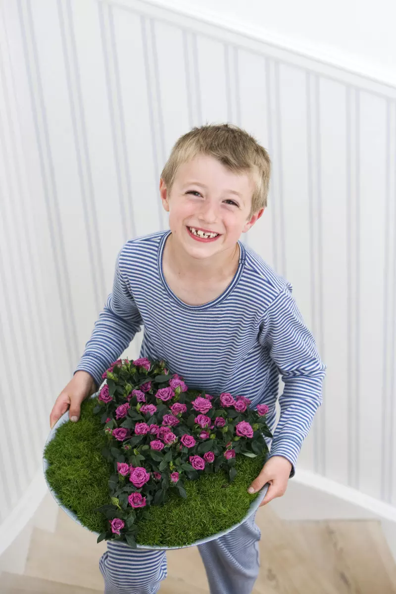 rośliny doniczkowe idealne na prezenty na dzien matki serce róże Fot. Floradania