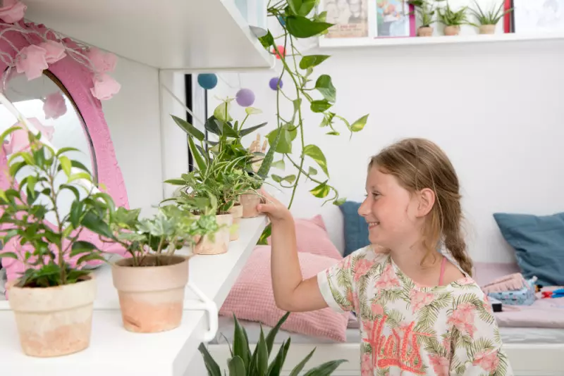 rośliny doniczkowe idealne na prezenty na dzień dziecka Epipremnum pinnatum fot. Floradania