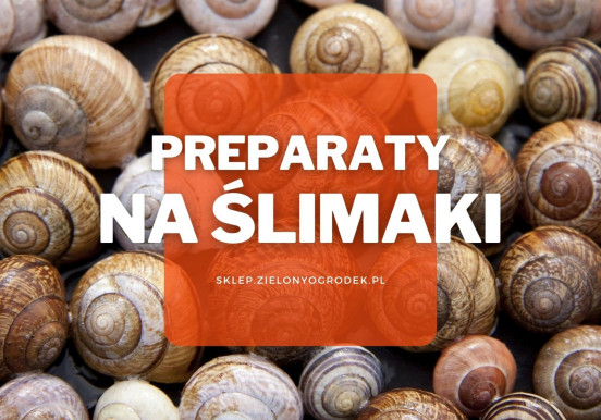 Preparaty na ślimaki | Jakie wybrać i gdzie kupić?