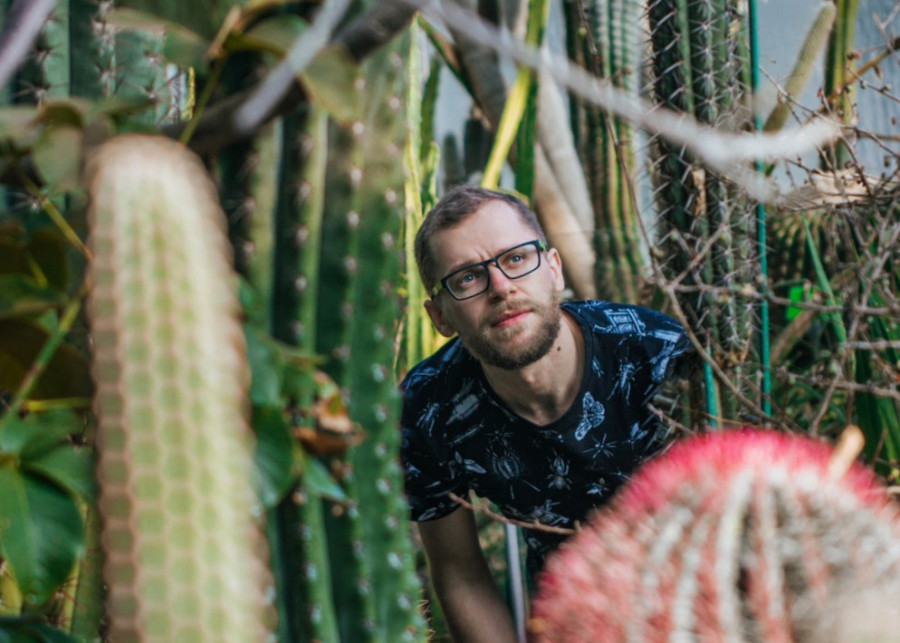 10 kaktusów dla początkujących fot. Bożka Piotrowska