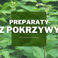 Naturalne preparaty z pokrzywy | Jakie wybrać i gdzie kupić?