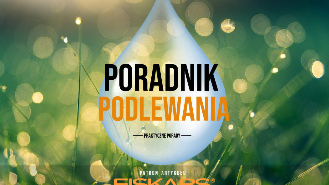 Poradnik podlewania ogrodu