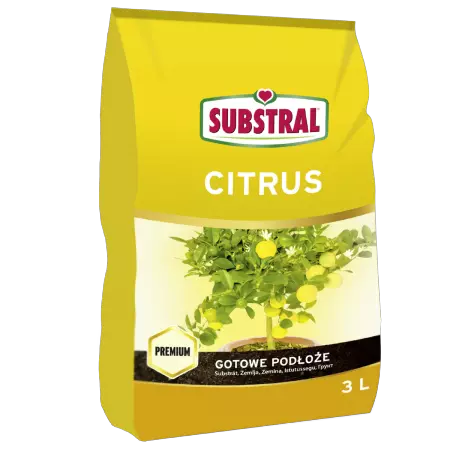 Podłoże ziemia do cytrusów CITRUS Substral, Sklep Zielony Ogródek