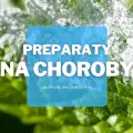 Czym zwalczać choroby roślin w ogrodzie? Jakie preparaty są najlepsze?