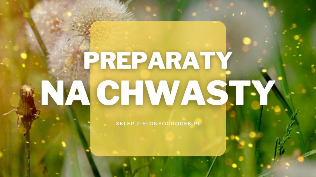 preparaty na chwasty