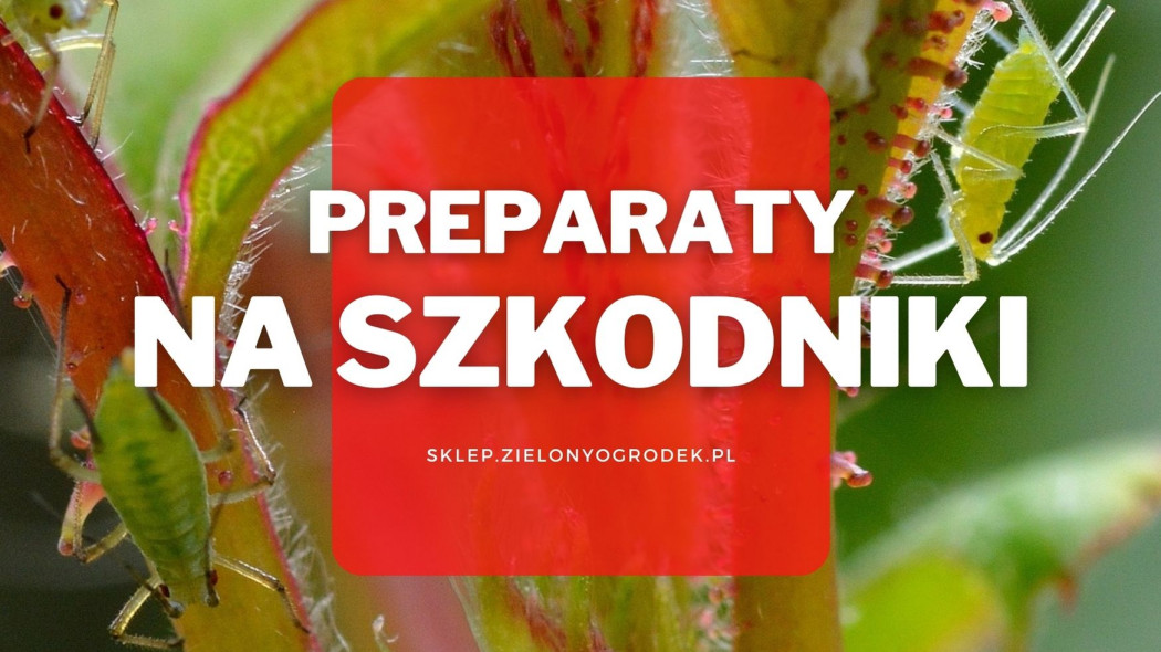 preparaty na szkodniki roślin