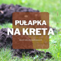 Kretołap – pułapka na kreta | Jaką wybrać i gdzie kupić?