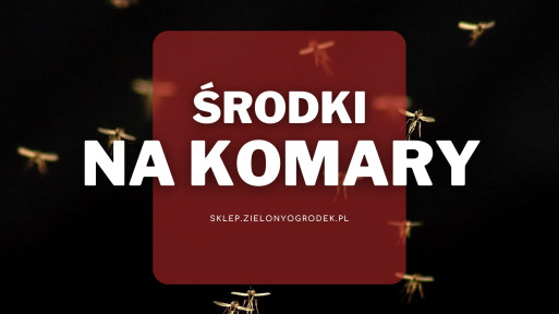 Środki na komary | Jakie wybrać i gdzie kupić?