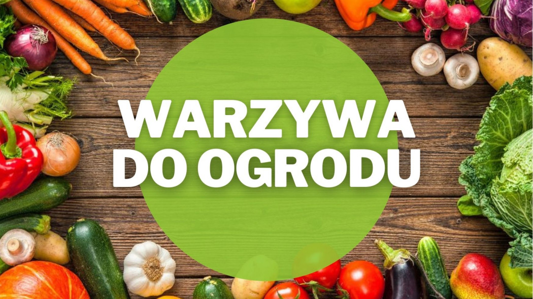 warzywa do ogrodu