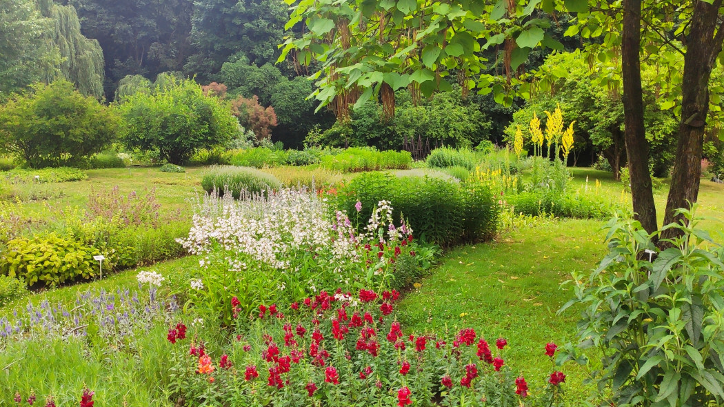 Ogród botaniczny UMCS