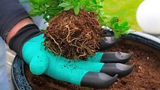 Ogrodowe rękawice z pazurami | Jakie wybrać i gdzie kupić?