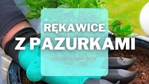 Ogrodowe rękawice z pazurami | Jakie wybrać i gdzie kupić?