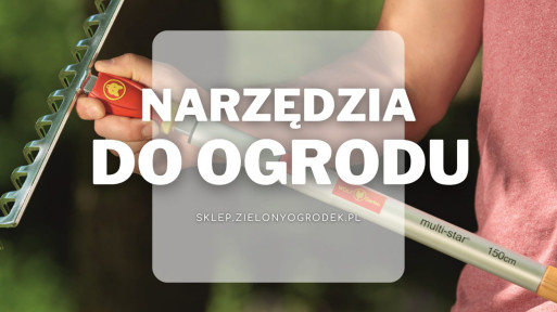 Narzędzia ogrodowe Wolf-Garten | Jakie wybrać i gdzie kupić?