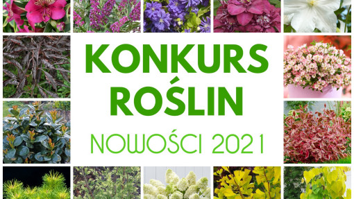 Konkurs Roślin NOWOŚCI 2021 | Zieleń to Życie