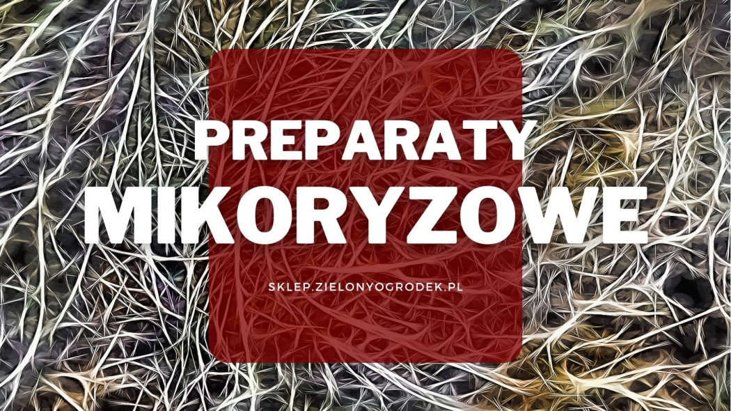 Preparaty mikoryzowe do ogrodu