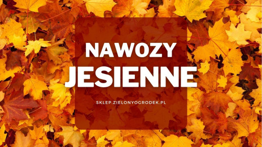 Nawozy jesienne do roślin ogrodowych | Jakie wybrać i gdzie kupić?