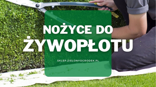 Nożyce do żywopłotu | Jakie wybrać i gdzie kupić?