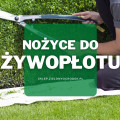 Nożyce do żywopłotu | Jakie wybrać i gdzie kupić?