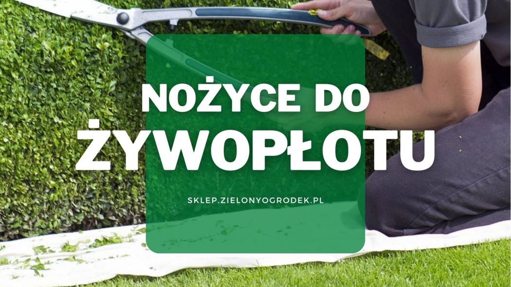 Nożyce do żywopłotu