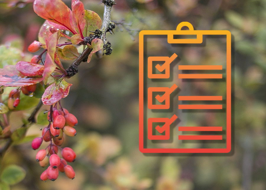 Lista prac ogrodniczych do zrobienia jesienią, fot. Emmi Nummela - Pixabay