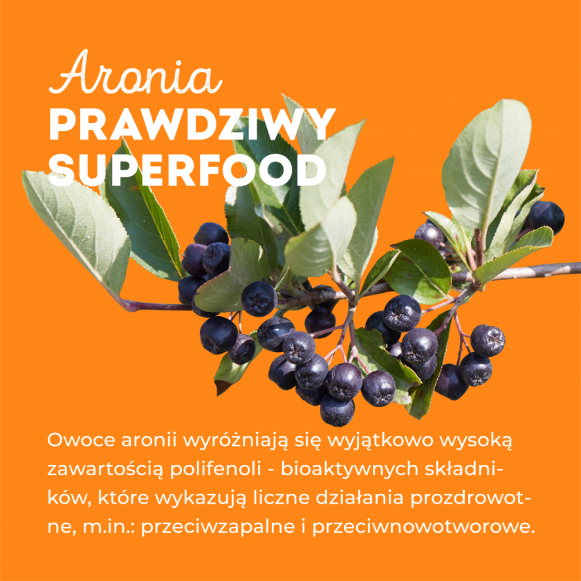 właściwości zdrowotne aronii