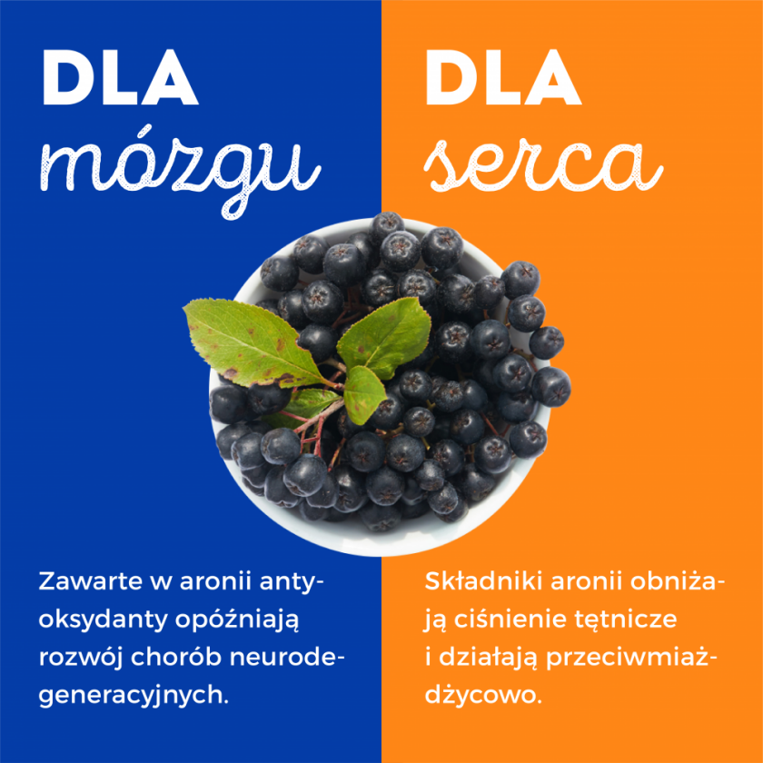 dlaczego warto jeść aronię