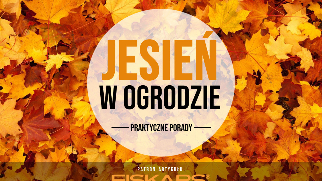 jesień w ogrodzie - praktyczne porady i narzędzia Fiskars