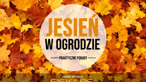 10 jesiennych prac, które musisz zrobić w ogrodzie!