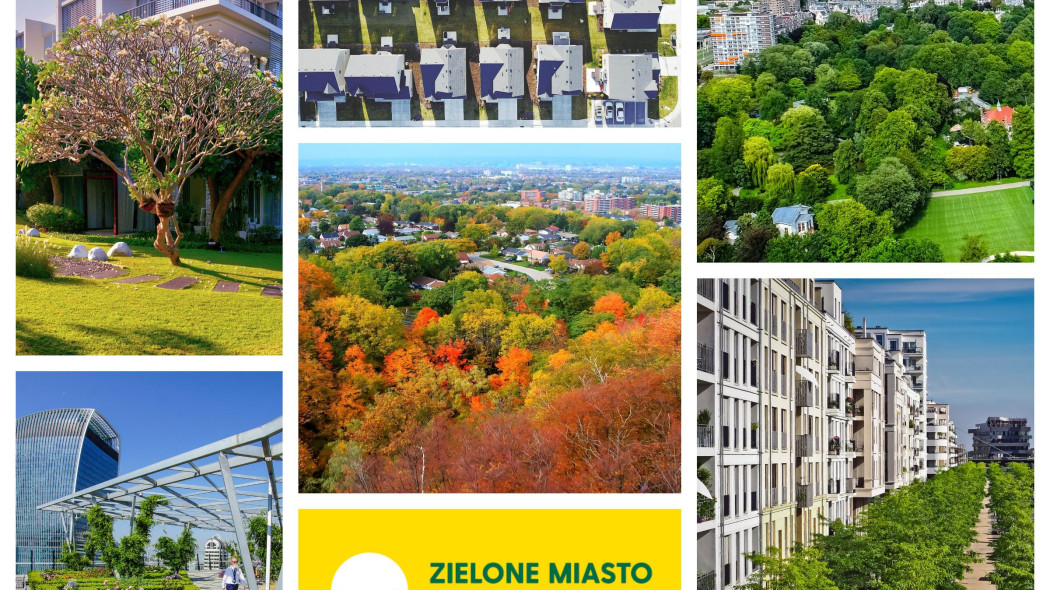 More Green Cities for Europe czyli Zielone Miasto Europy