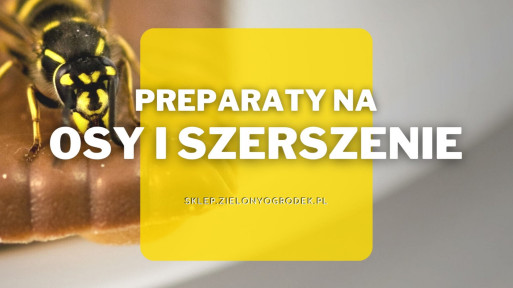 Preparaty na osy i szerszenie | Jakie wybrać i gdzie kupić?