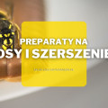 Preparaty na osy i szerszenie | Jakie wybrać i gdzie kupić?