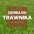 Ziemia do trawnika | Jaką wybrać i gdzie kupić?